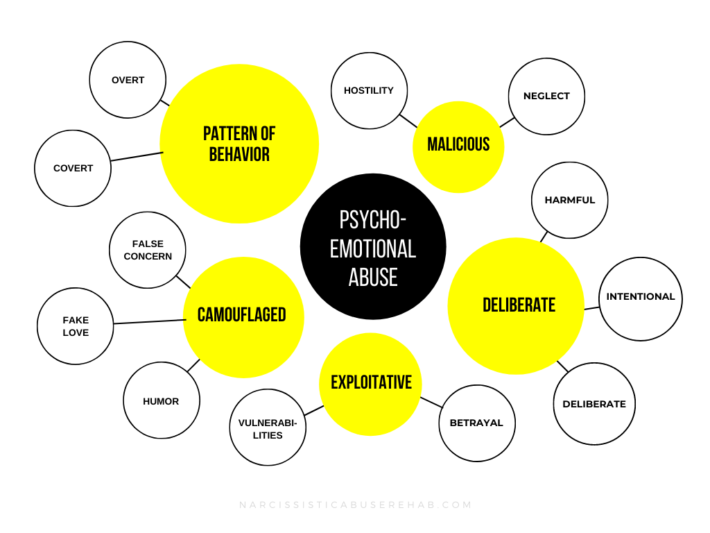 Pattern of behavior, malicious, deliberate, exploitative, camouflage