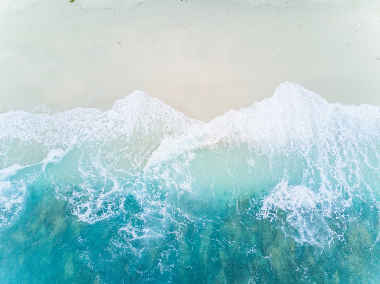 Hawaii Signs Coercive Control Bill Into Law | Narcissistic Abuse Rehab