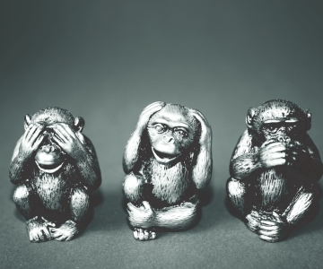 Types of Flying Monkeys